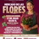 🌿 Vive la experiencia del Mercado de las Flores
