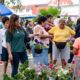 Da inicio el Mercado de las Flores en Minatitlán