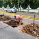 Gobierno de Minatitlán realiza trabajos de mantenimiento urbano