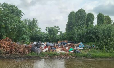 ¡Van contra quienes tiran basura en la calle! En Minatitlán ya aplican multas de hasta 4 mil pesos; esto sabemos