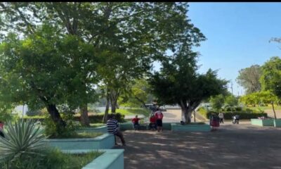 ¡Bebé nace en la plazoleta de un hospital! Familia acusa demora en la atención médica en la zona Sur de Veracruz; esto sabemos.