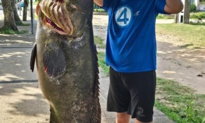 Gigantesca cherna de 75 kilos y casi 2 metros sorprende en Villa Allende; pescadores logran histórica captura