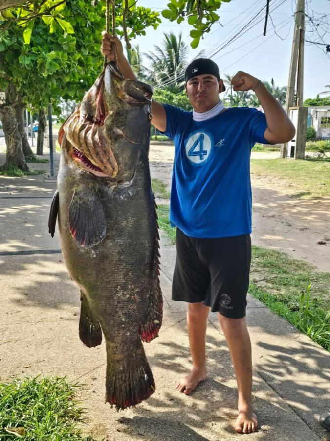 Gigantesca cherna de 75 kilos y casi 2 metros sorprende en Villa Allende; pescadores logran histórica captura
