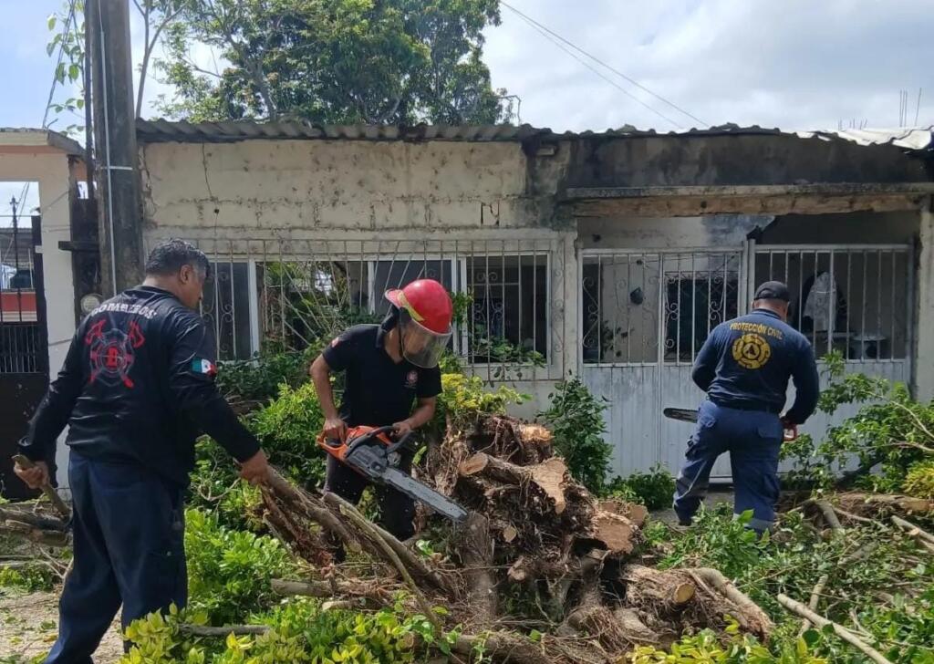 ¡Retiran árboles que ponían en riesgo el cableado y a las familias de Minatitlán!