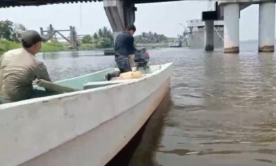 Pescadores de Coatzacoalcos, localizan a pescadores de Tabasco y Chiapas capturando cangrejo azul en manglares de la región en plena veda