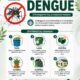 Promueve IMSS Veracruz Sur prevención contra dengue