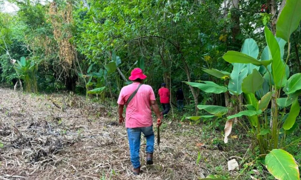 Refuerzan jornada de limpieza en Xochitanapa con participación de funcionarios municipales en Jáltipan
