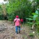 Refuerzan jornada de limpieza en Xochitanapa con participación de funcionarios municipales en Jáltipan