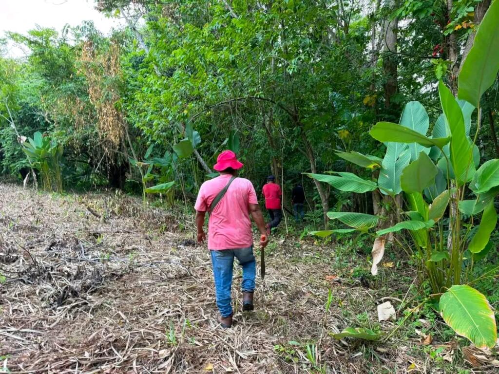Refuerzan jornada de limpieza en Xochitanapa con participación de funcionarios municipales en Jáltipan