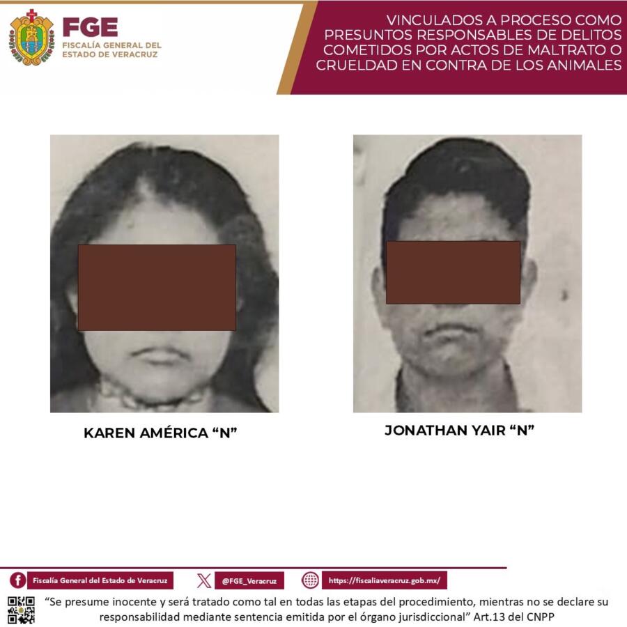Vinculan a proceso a presuntos responsables de maltrato contra cuatro perros en Coatzacoalcos