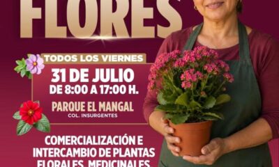 🌸 El color y la naturaleza te esperan en el Mercado de las Flores 🌿