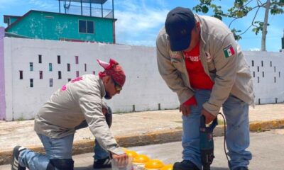 Gobierno Municipal trabaja por la seguridad vial con acciones de infraestructura y mantenimiento