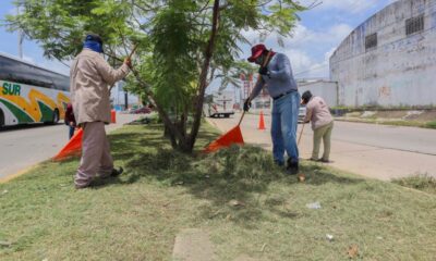 Gobierno Municipal fortalece la limpieza urbana