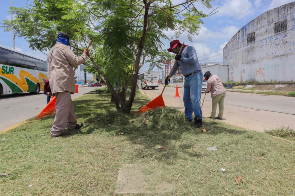 Gobierno Municipal fortalece la limpieza urbana
