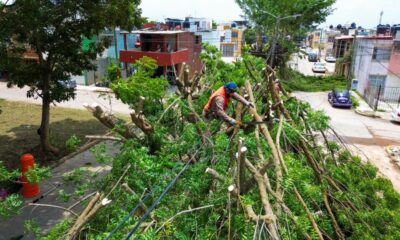 Realizan trabajos de limpieza y rehabilitación en la colonia Jardines de Tlalcualeya