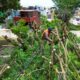 Realizan trabajos de limpieza y rehabilitación en la colonia Jardines de Tlalcualeya