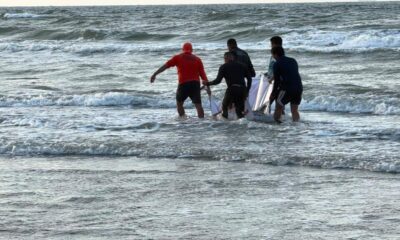 Muere delfín tras varar en playas de Coatzacoalcos; presentaba pulmón colapsado