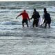 Muere delfín tras varar en playas de Coatzacoalcos; presentaba pulmón colapsado
