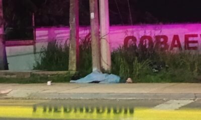 Motociclista muere tras estrellarse contra dos postes frente al Cobaev de Coatzacoalcos