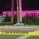 Motociclista muere tras estrellarse contra dos postes frente al Cobaev de Coatzacoalcos