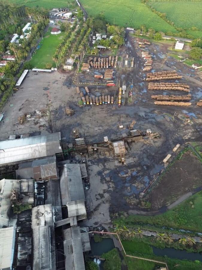 Se declara en quiebra el Ingenio San Pedro: Productores y obreros de Lerdo de Tejada, a la deriva y sin garantías de pago