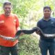 *Enorme boa es capturada en Ixhuatlán del Sureste, autoridades la reubicaron*