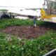 Retiran palizada para liberar embarcadero del transbordador de Coatzacoalcos