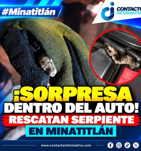 ¡Sorpresa dentro del auto! Rescatan serpiente en Minatitlán