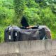 Fallece motociclista tras accidente sobre la carretera 180 #Catemaco – #SanAndrésTuxtla