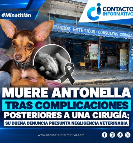 (+VIDEO) Muere Antonella tras complicaciones posteriores a una cirugía; su dueña denuncia presunta negligencia veterinaria