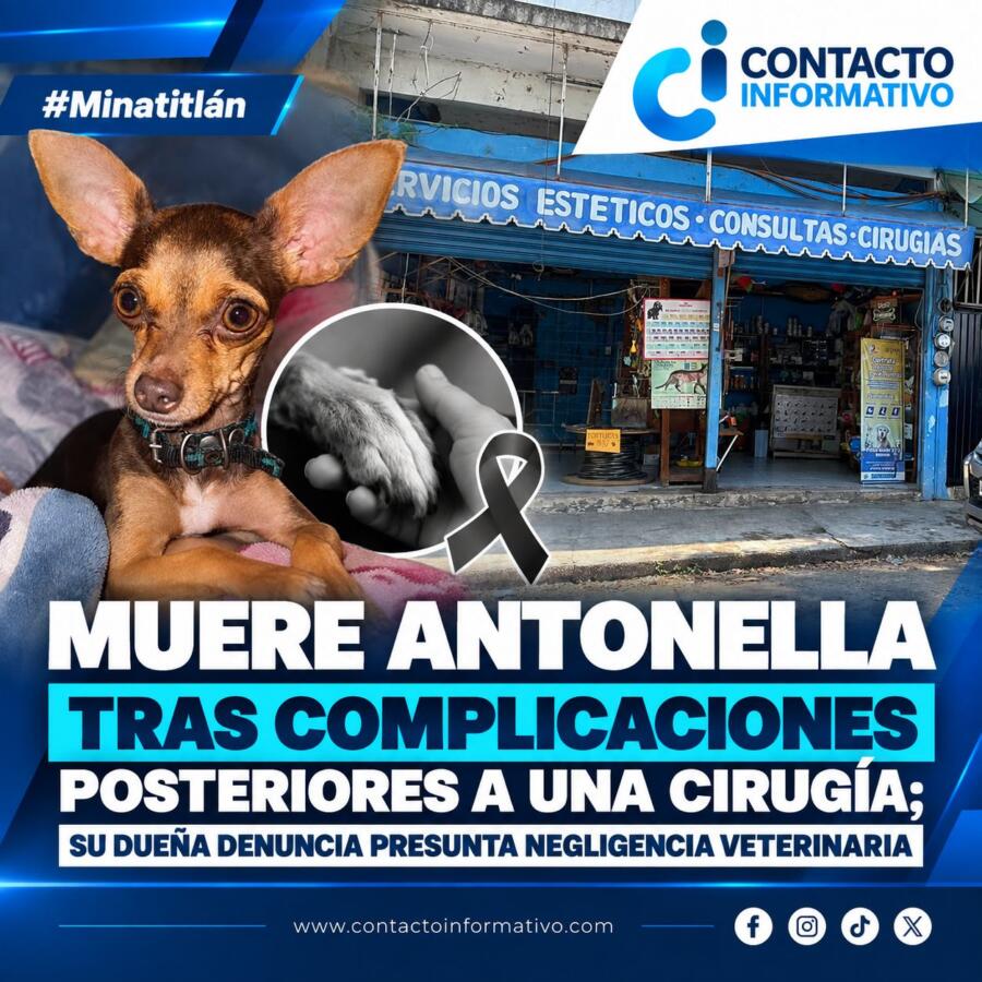 (+VIDEO) Muere Antonella tras complicaciones posteriores a una cirugía; su dueña denuncia presunta negligencia veterinaria