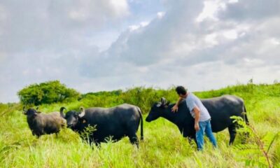 Fallece Felipe Pérez Carrillo, uno de los primeros en introducir la venta de carne de búfalo en Coatzacoalcos