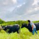 Fallece Felipe Pérez Carrillo, uno de los primeros en introducir la venta de carne de búfalo en Coatzacoalcos