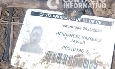 Una credencial entre la maleza podría revelar la identidad de la osamenta hallada en Canticas; esto sabemos