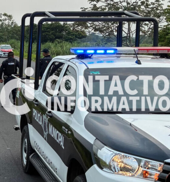 ¡Hallan cráneo y huesos entre la maleza; investigan posible cuerpo calcinado!