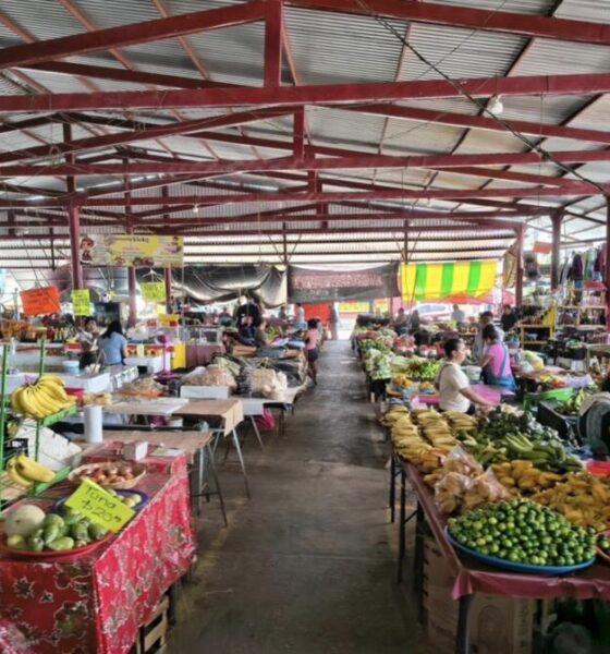 (+VIDEO) Mercado Solidaridad cumple 35 años y comerciantes celebran décadas de esfuerzo