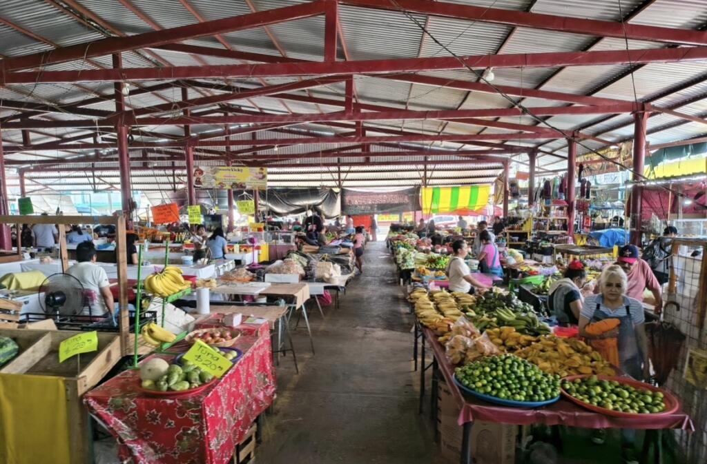 (+VIDEO) Mercado Solidaridad cumple 35 años y comerciantes celebran décadas de esfuerzo