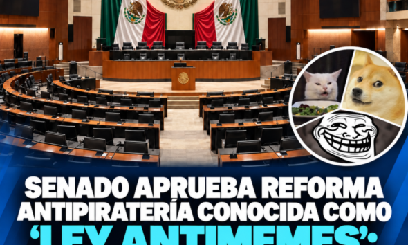 Senado aprueba reforma antipiratería conocida como ‘Ley antimemes’; pasa a San Lázaro