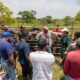 Fortalecen la ganadería de Minatitlán con proyecto de inseminación artificial