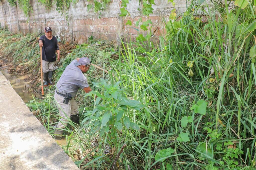 Refuerzan limpieza de arroyos y canales ante temporada de lluvias
