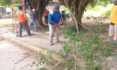 Realiza Gobierno Municipal poda preventiva en avenida Reyes Azteca