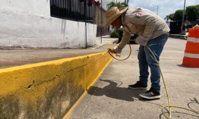 Refuerzan trabajos de limpieza y pintura en la avenida Justo Sierra