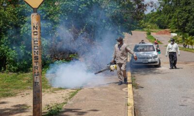 🦟 El Ayuntamiento de Cosoleacaque lleva acciones de prevención y control del dengue a la cabecera municipal