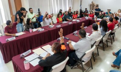 Cabildo de Minatitlán aprueba iniciativa para reconocer y proteger árboles patrimoniales