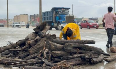 Refuerzan labores de limpieza en Coatzacoalcos tras afectaciones por el frente frío 2