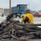 Refuerzan labores de limpieza en Coatzacoalcos tras afectaciones por el frente frío 2