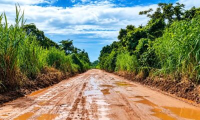 Critican en redes sociales condiciones de carretera Jáltipan-Lomas de Tacamichapan tras deficientes trabajos de rehabilitación del Gobierno Municipal