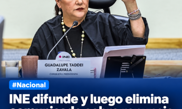 INE difunde renuncia de Taddei; decisión busca proteger al Instituto, afirma