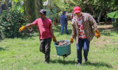 Refuerza Gobierno Municipal acciones de descacharrización para prevenir el dengue