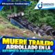 Muere trailero arrollado en la autopista Acayucan-Cosoleacaque